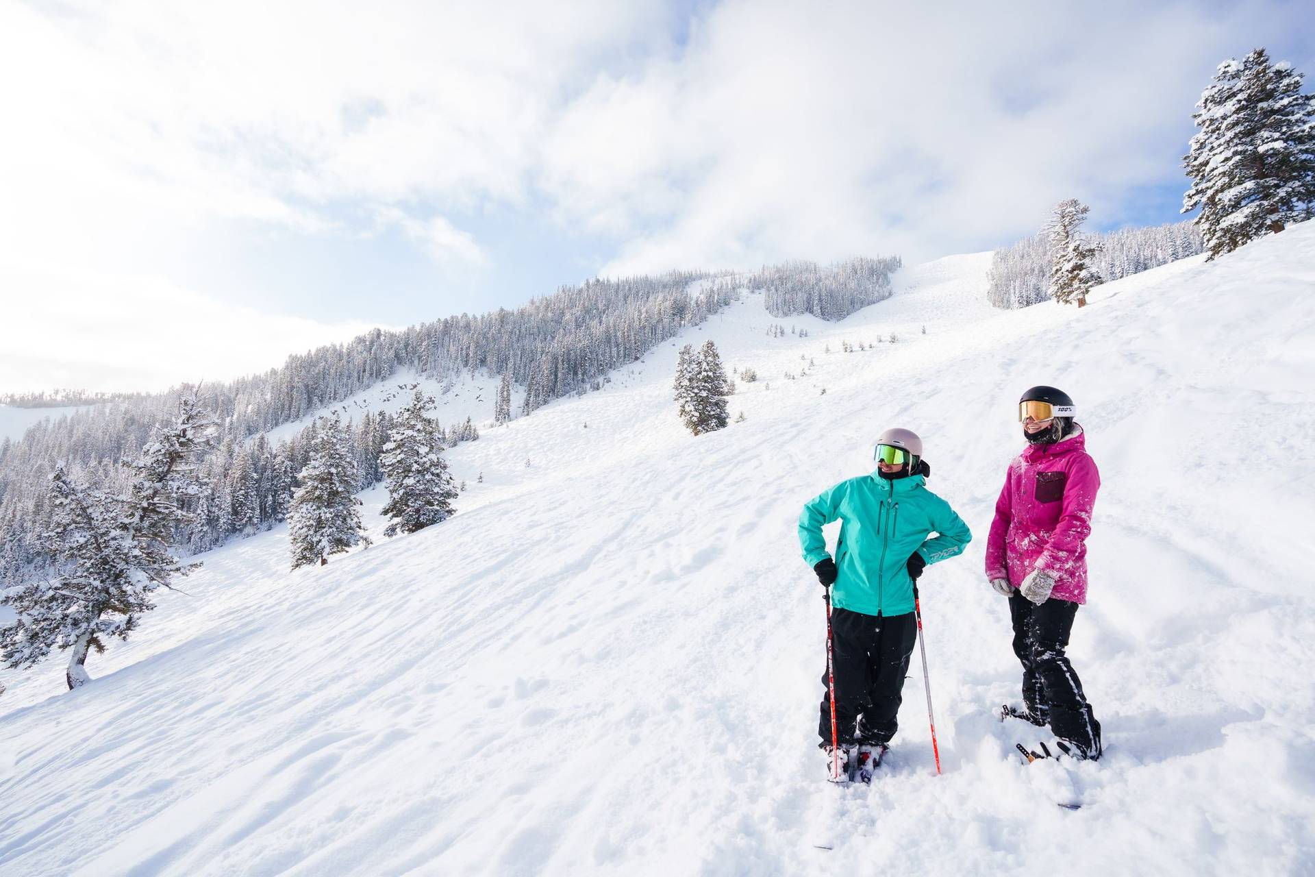 Skiers on the top of a mountain