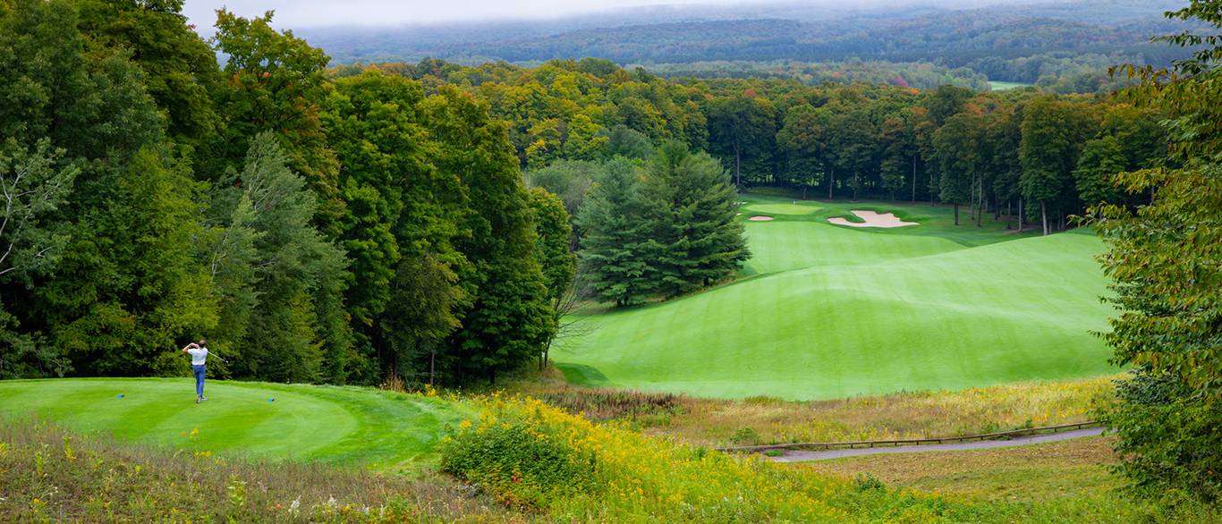Arthur Hills #13
