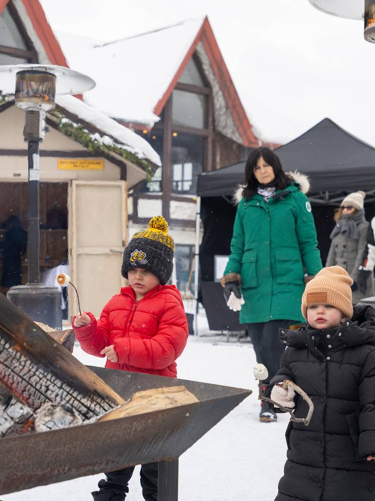 Two kids roasting smore's in winter